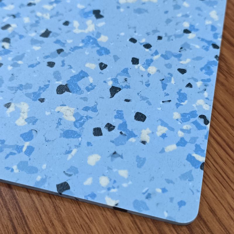 Vochtbestendige Relle vloer Anti statische PVC vinyl vloer voor ziekenhuis