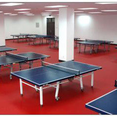 1.8m breedte Relle PVC vinyl tafeltennisbaan vloermat voor training