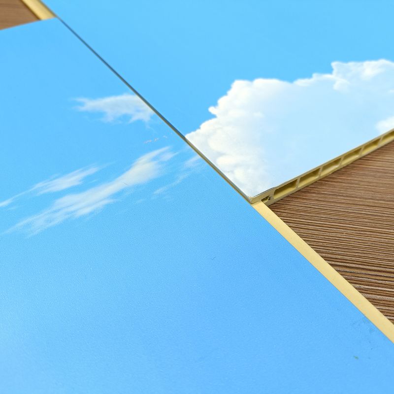 Bamboes PVC-fiber decoratieve wandpanelen 10 mm dik voor woonkamer