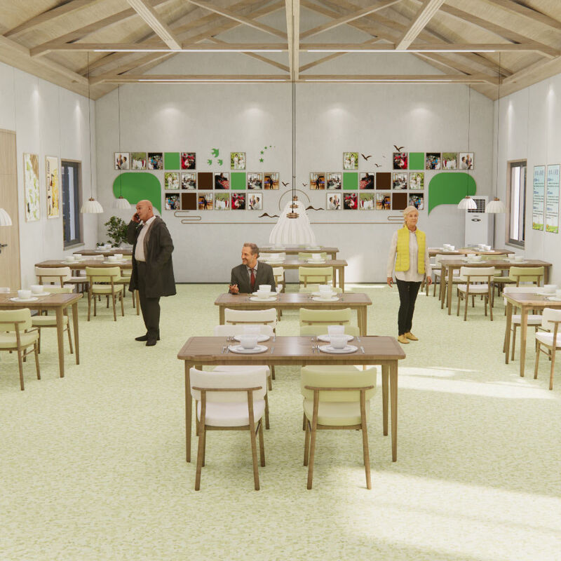 Stootvaste homogene vloerbedekking met antikras oppervlak voor patiëntenkamers in verpleeghuizen