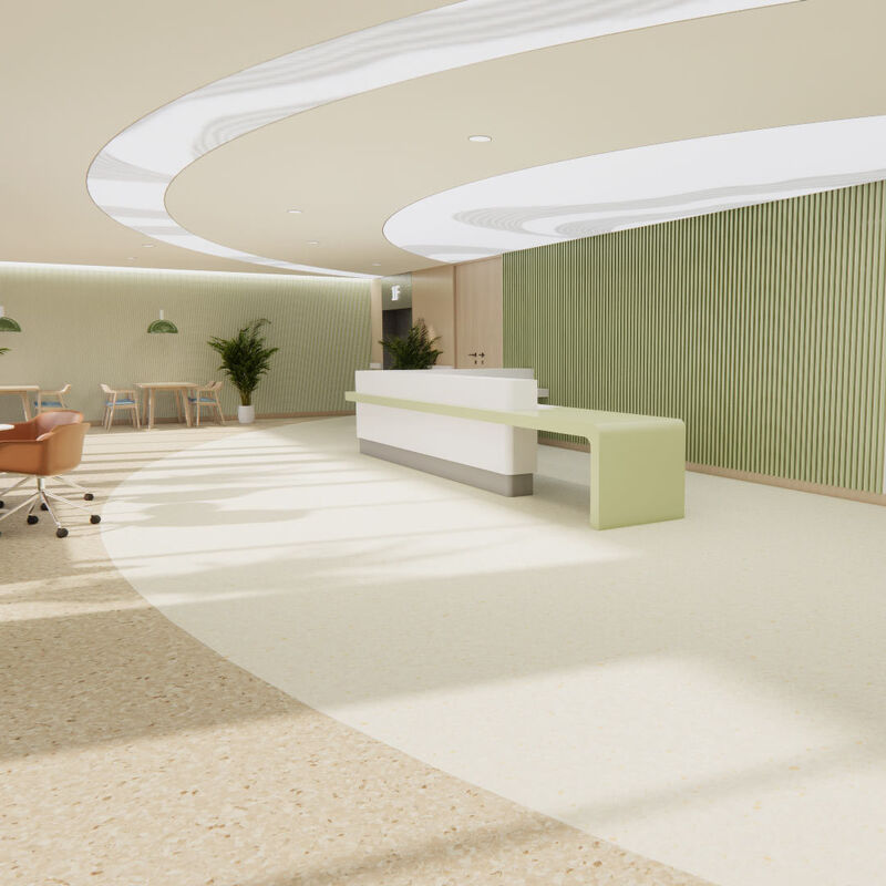 Chemisch bestand naadloos homogeen vinylvloer ontworpen voor huishoudelijke behoeften van verpleeghuizen