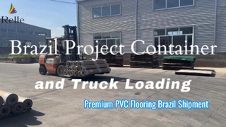 Brazilië Project Container- en vrachtwagenladen